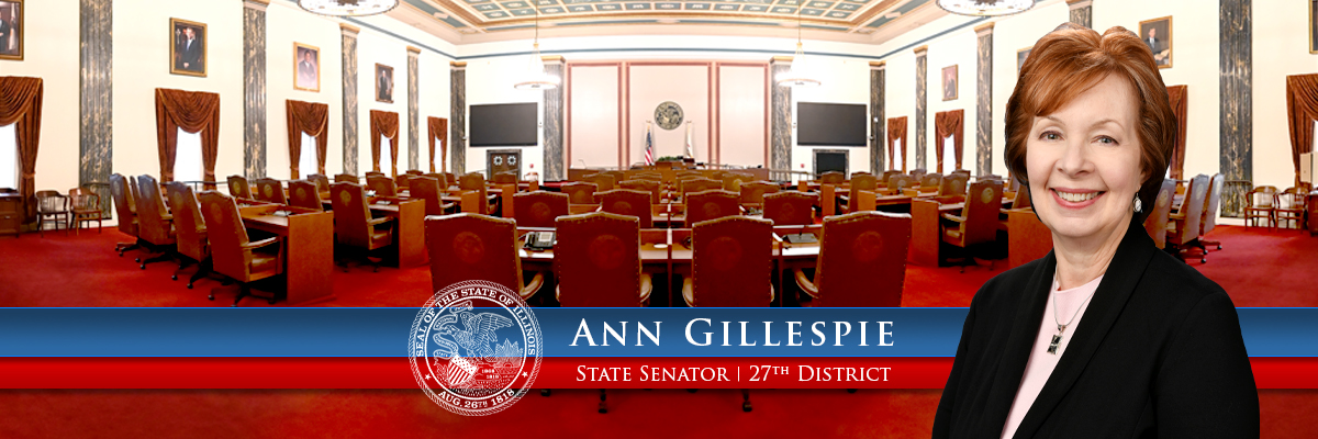 Illinois State Senator Ann Gillespie