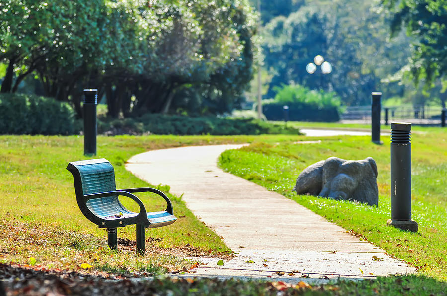 A sidewalk winds through a park, with a park bench on the left side.